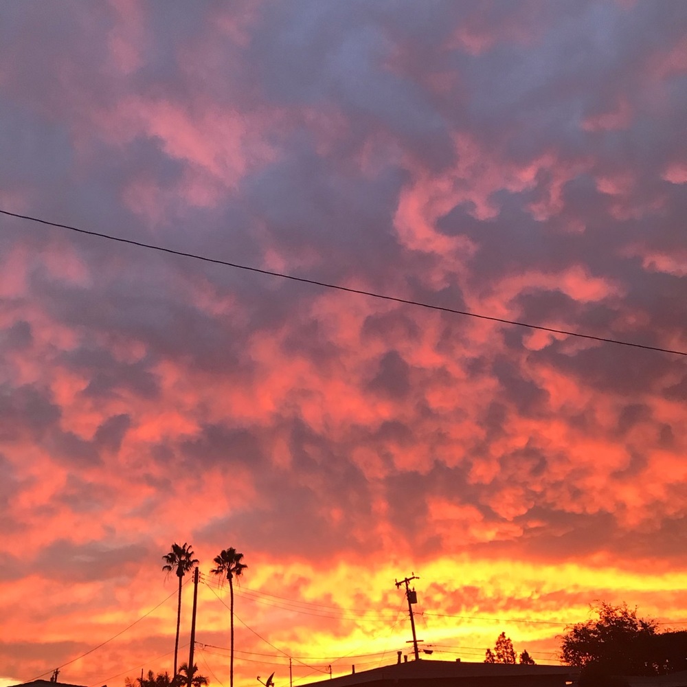 Meet your Posher, Ralph